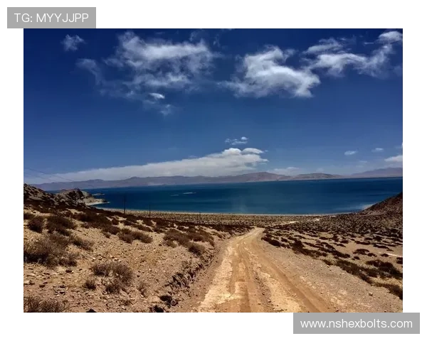开云真人手机版优惠活动不断，丰富奖励等待你的领取